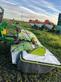 Equipo de siega CLAAS 8550  de mayales