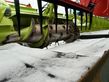 Cabezal - Claas - convio 1080