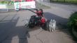 Cortacésped manual -  - bergtalent, atra , crawler....