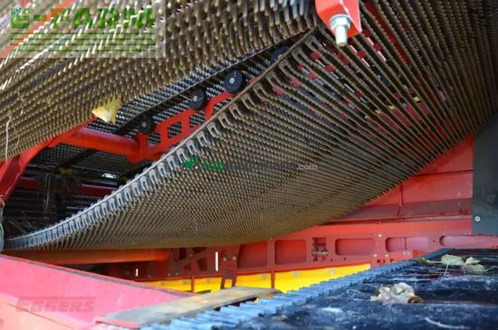 Cosechadora - arrancadora de patata - Grimme - evo 280 clodsep gen ii