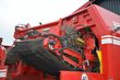Cosechadora - arrancadora de patata - Grimme - se 260 ub