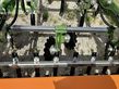 Cultivador - Amazone - cenio 3000 super
