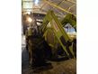 Tractor agrícola - Claas - arion 630