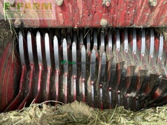 Cinta transportadora de forraje - Strautmann - terra-vitesse