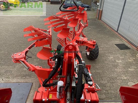 Arado - Maschio - unico m passo 4+