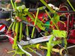 Henificador - Claas - VOLTO 800