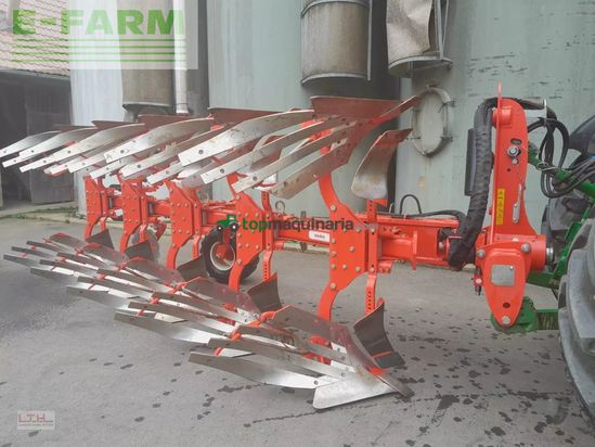 Arado - Maschio - unico m passo 4