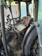 Tractor agrícola - New Holland - tn-v 55