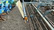 Cultivador - Lemken - kristall 9/500 ku