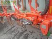 Arado - Maschio - unico m passo 4