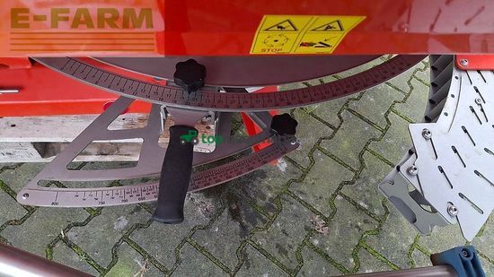 Esparcidor - Maschio - primo m 213