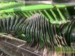 Empacadora gigant - Krone - presse variopack 1800