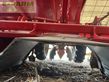 Cosechadora - arrancadora de patata - Grimme - gl420