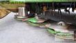 Cortacésped manual - Krone - easycut b 870 cv collect