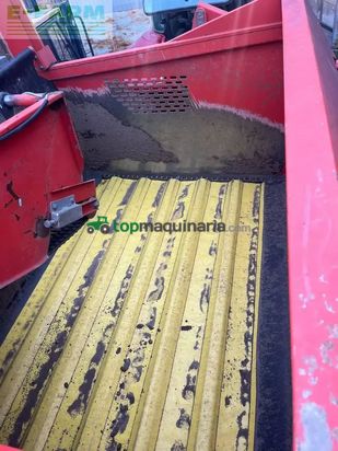 Cosechadora - arrancadora de patata - Grimme - se 75 - 40 ub