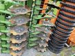 Grada de disco - Amazone - catros 5003-2