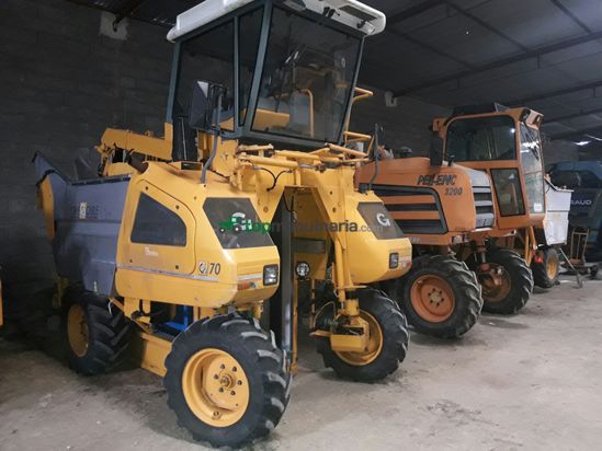 Vendimiadora - Grégoire - G70