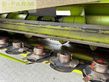 Cabezal - Claas - direct disc 500 p
