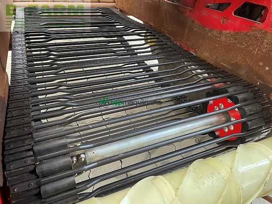 Cosechadora de Cereal - Grimme - rexor 6300 platinum