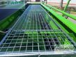 Sembradora - Amazone - ke 3002-240 / cataya 3000 super