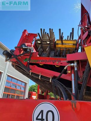 Cosechadora - arrancadora de patata - Grimme - se 260 ub
