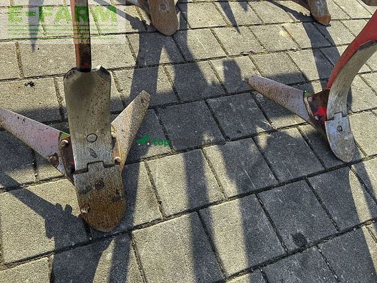 Cultivador - Maschio - flügelschargrubber