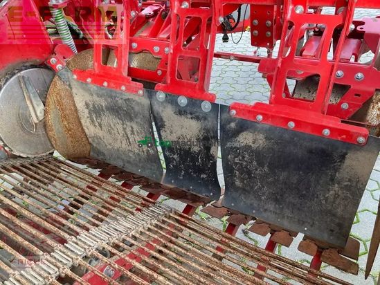 Cosechadora - arrancadora de patata - Grimme - evo 260 ub nonstop