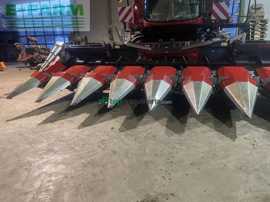 Cabezal - Dominoni - maispflücker 8 reiher