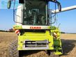 Cosechadora de Cereal - Claas - lexion 750 tt