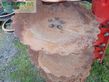 Cultivador - Kverneland - qualidisc pro 7001 t