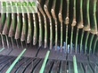 Cinta transportadora de forraje - Krone - zx 450 gd