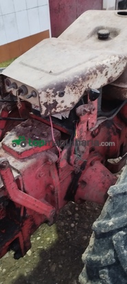 Mini tractor - Pasquali - 946