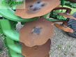 Grada de disco - Amazone - certos 4001-2