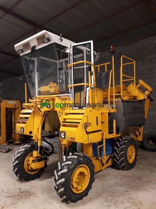 Vendimiadora - Grégoire - G71