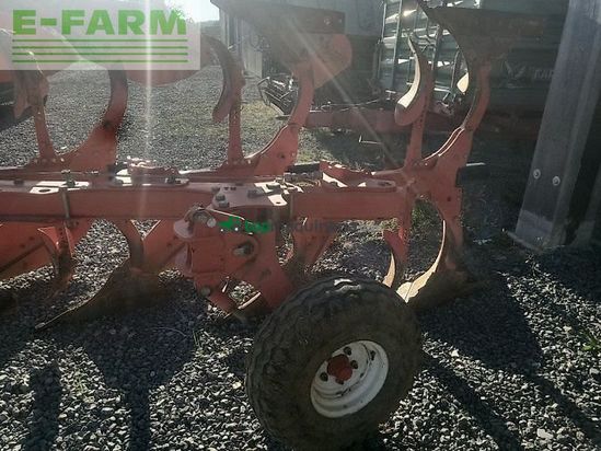 Arado - Maschio - unico 4+1 non stop