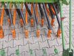 Sembradora - Amazone - d8-30 spezial