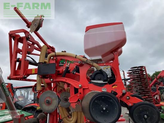 Sembradora monograno mecanica - Maschio - manta 8-reihig