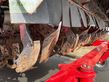 Cosechadora de Cereal - Grimme - rexor 620