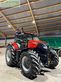 Tractor agrícola - Case IH - puma 260 cvx afs