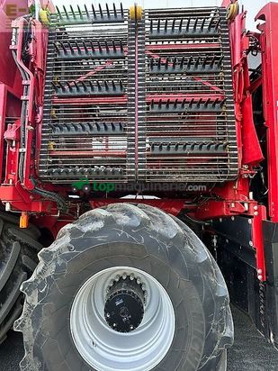 Cosechadora de Cereal - Grimme - rexor 6300 pl