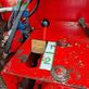 Remolqu esparcidor -  - zago queen feeder