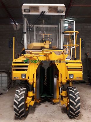 Vendimiadora - Grégoire - G71