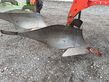 Arado - Kuhn - varimaster 152 5schar