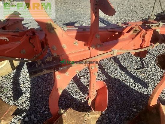 Arado - Maschio - unico 4+1 non stop