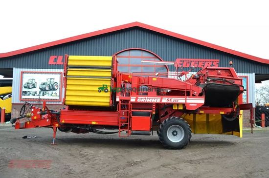 Cosechadora - arrancadora de patata - Grimme - se 260 ub