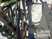 Cisterna - Fliegl - pfw 15500