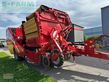 Cosechadora - arrancadora de patata - Grimme - se 260 ub non stop