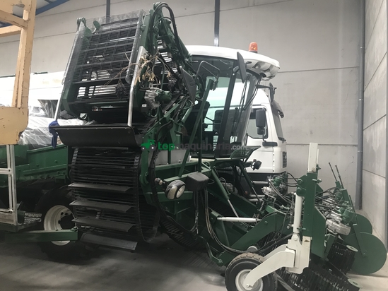 COSECHADORA DE TOMATES SANDEI - THX