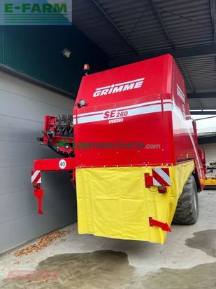 Cosechadora - arrancadora de patata - Grimme - se 260 ub