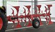 Arado - Maschio - unico m passo 4+ non stop